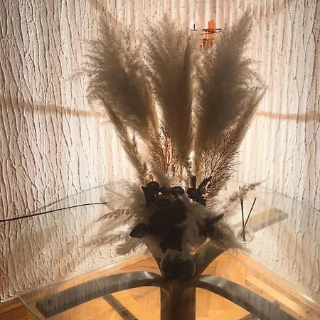 Apartman Beo Shooping Centar Belgrád