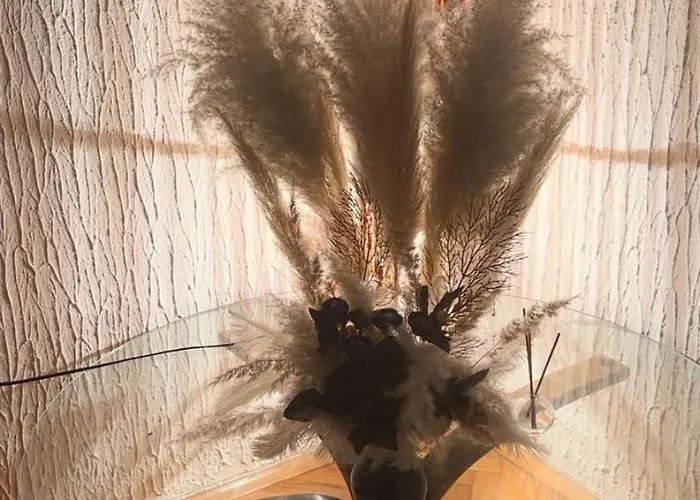 Апартаменты Beo Shooping Centar Белград